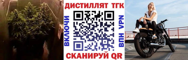 Купить  Избербаш  Дистиллят ТГК гашишное масло 