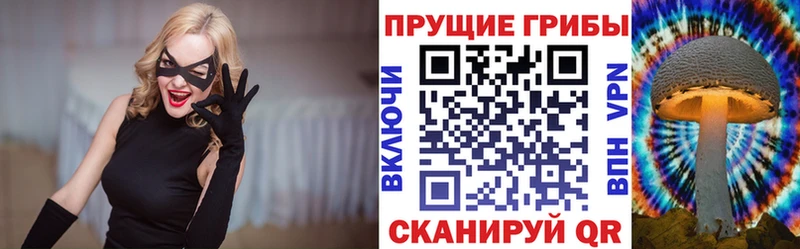 Купить закладки  Избербаш  Галлюциногенные грибы Psilocybine cubensis 